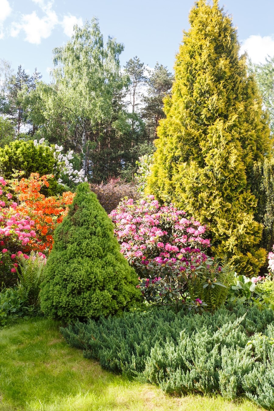 Blühender Ziergarten mit formgeschnittenen Gehölzen, Stauden und strukturreicher Pflanzplanung im Landschaftsbau